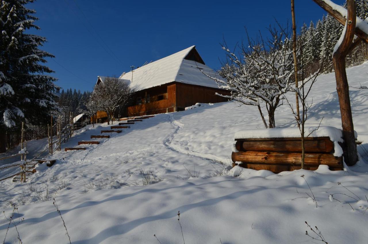 Приватна Садиба "Світлиця Гуцульщини" Vorokhta Exterior foto